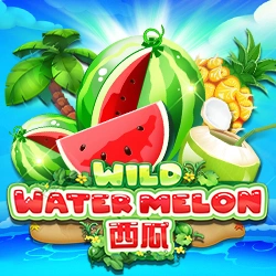 RTP Joker Wild Watermelon